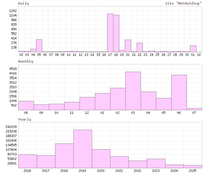 Статистика посещерния сайта 'NetHolding'
